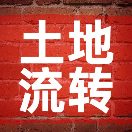 土地流转别踩坑！四项基本原则记牢，权益才...